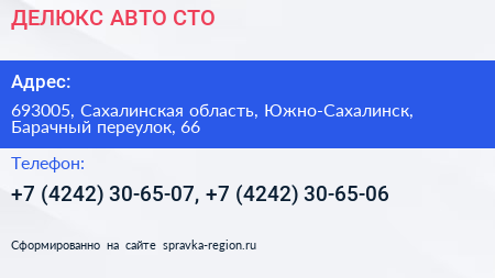 ДЕЛЮКС АВТО СТО - визитка