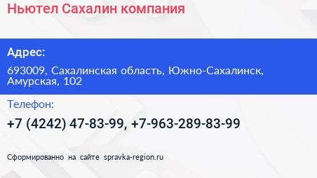 Ньютел Сахалин компания - визитка