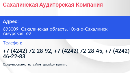 Сахалинская Аудиторская Компания - визитка