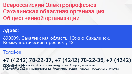 Всероссийский Электропрофсоюз Сахалинская областная организация Общественной организации - визитка