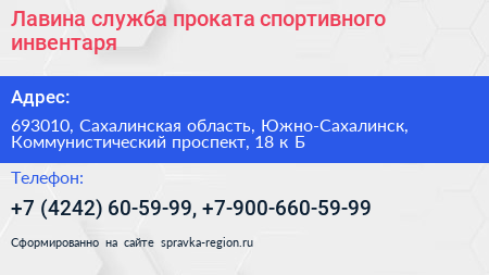 Лавина служба проката спортивного инвентаря - визитка