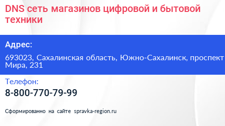 DNS сеть магазинов цифровой и бытовой техники - визитка