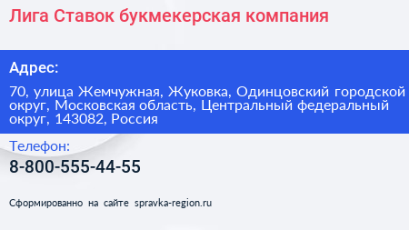 Лига Ставок букмекерская компания - визитка