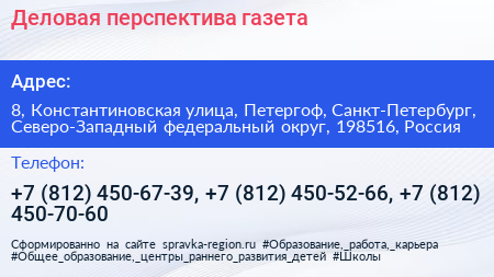 Деловая перспектива газета - визитка