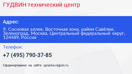 ГУДВИН технический центр - визитка