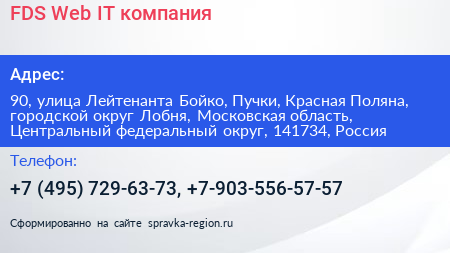 FDS Web IT компания - визитка