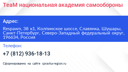 ТеаМ национальная академия самообороны - визитка