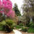 Категория: Ботанический сад Дендрарии