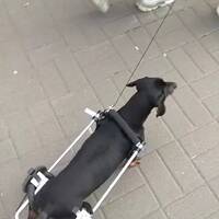 Фото к отзыву