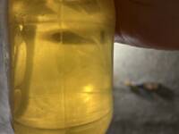 Фото к отзыву