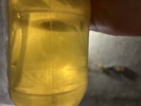 Фото к отзыву