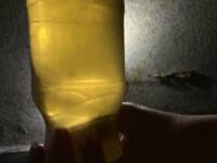 Фото к отзыву