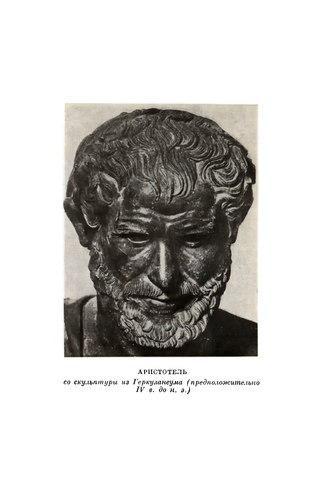Аристотель в своей книге рассуждал о щекотке. Фото 1 