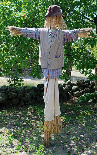 Автор популярной манги назвал одного из своих персонажей в честь огородного пугала. Фото 3 