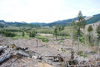 Девочка девяти лет, основавшая газету в американском посёлке, сделала его широко известным. Фото 1 