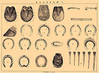 Для победы в Кубке Англии футболист взял с собой на поле подкову, монету в шесть пенсов, ветки белого вереска и маленького белого слона. Фото 1 