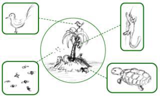 Эта река отличается своей кристальной чистотой и отсутствием флоры и фауны благодаря своей повышенной кислотности. Фото 3 