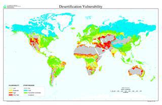 Фермер из Буркина Фасо сумел остановить пустыню, но был бессилен против государства. Фото 1 