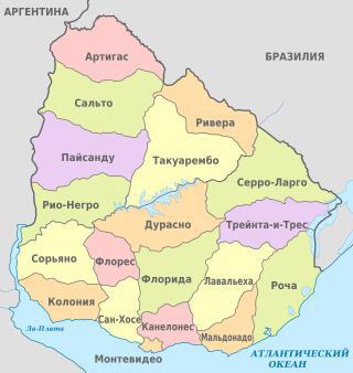 Из 50 видов земноводных, обитающих в Уругвае, 49 бесхвостых и один безногий. Фото 4 