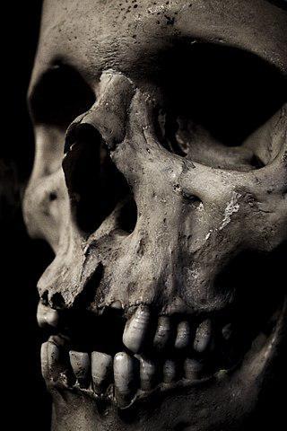 «Между жизнью и смертью есть золотой час». Фото 2 