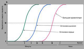 «Между жизнью и смертью есть золотой час». Фото 3 
