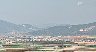 На Крокусовом поле растут дубы и виноград. Фото 1 