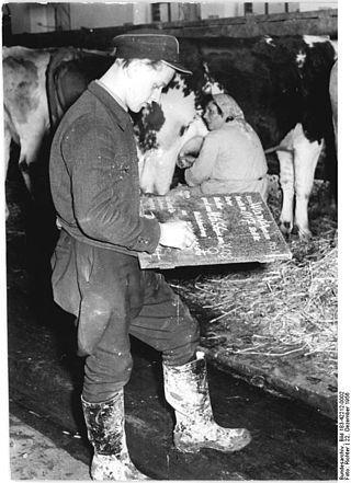 Одного из основоположников зоотехнии в СССР выгнали из Московской сельскохозяйственной академии за «мракобесие» и «правый уклон». Фото 5 