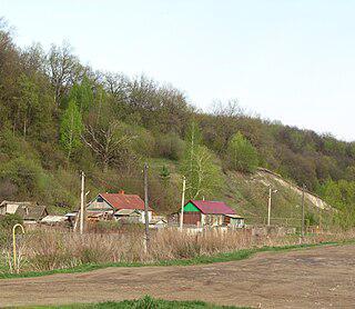 Первая женщина — Герой Российской Федерации мечтала после школы покинуть родное Зубрилово, но вернуться обратно. Фото 3 