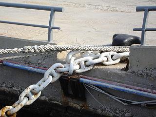 Первые книги Бодлианской библиотеки были прикованы к книжным шкафам цепями. Фото 1 