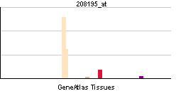 Полное название этого белка длиннее всех известных слов. Фото 1 