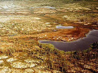 Русское название почв тайги и лесотундры из трёх латинских терминов описывает их химический состав. Фото 3 