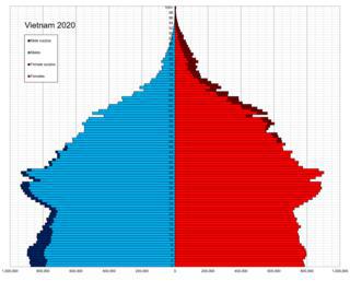 Согласно независимым опросам, большинство вьетнамцев исповедует культ предков, а правительство утверждает, что 80 % населения — атеисты. Фото 1 
