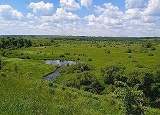 Тургеневскому Бежину лугу (на илл.) довелось побывать колхозом «Венера» и «Культурным пастбищем № 7». Фото 1 
