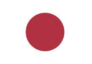 В США планировали создание многомиллионных армий летающих «камикадзе» для покорения Японии. Фото 1