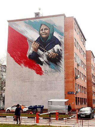 «Бабушка с красным флагом» перепутала российскую, украинскую и советскую армии. Фото 1 