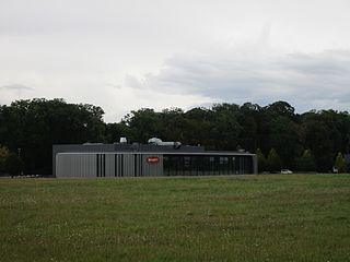 Чистокровный Bugatti принёс компании более 1800 побед в гонках. Фото 3 