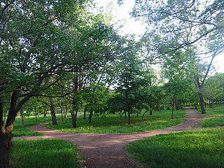 Единственный степной дендрарий на Дону был исключён из числа природных памятников. Фото 2 