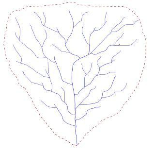 Горная река несёт свои воды в бассейны двух океанов. Фото 3 