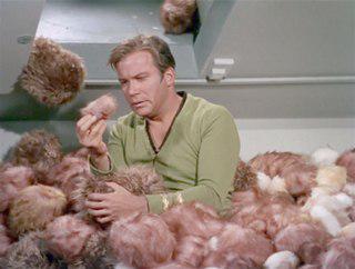 Маленькие инопланетные зверьки могут стать большой проблемой. Фото 2 