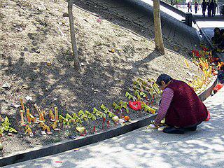 Мао сравнивал американский империализм с «бумажным тигром» (на илл.). Фото 3 