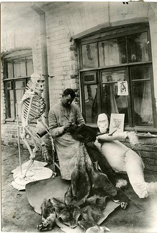 Нарушение технологии может привести таксидермиста ко всероссийской славе. Фото 2 