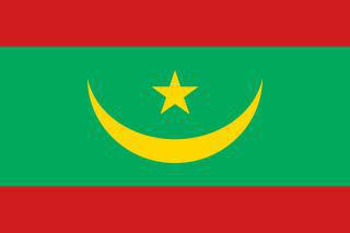 Первая женщина-мэр в истории Мавритании начинала с сетевого администрирования. Фото 1 