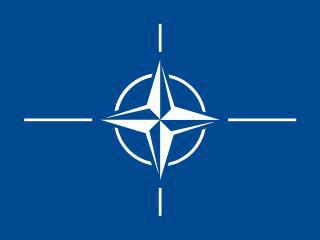 Протесты против членства Исландии в НАТО, начавшись в 1949 году, продолжались десятилетиями. Фото 3 