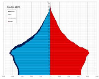 Тибетцы проиграли более слабой бутанской армии из-за мародёрства. Фото 1 