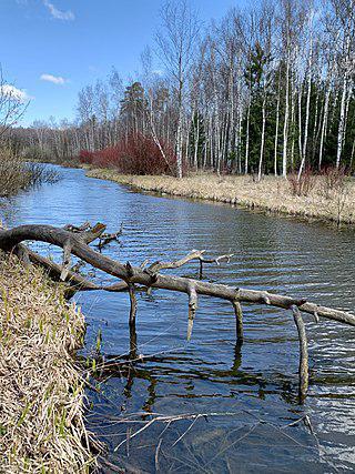 У реки люди нашли детёныша. Фото 1 