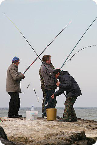 Узбекское озеро, образованное сточными водами, пригодно для рыбалки. Фото 1 