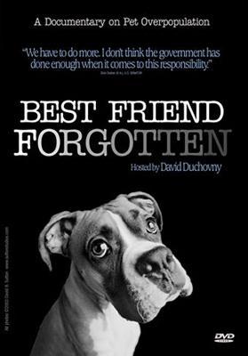 В 2004 году Дэвид Духовны рассказал американцам о миллионах забытых друзей. Фото 1 