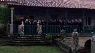 В гимне Галисии поётся о соснах. Фото 1 