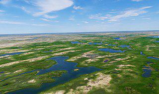 В Казахстан завозят амурских тигров туда, где 70 лет назад были туранские. Фото 4 