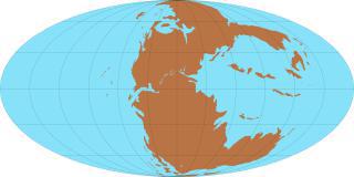 Гигантский океан, омывавший Пангею, носит название Панталасса… Фото 3 